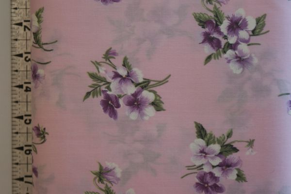 HOBBY HOLIDAYS NCHH/1