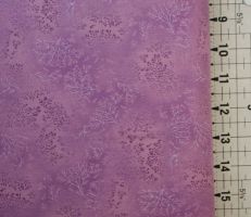 ROBERT KAUFFMAN 5573/106